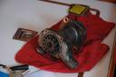 The old pump