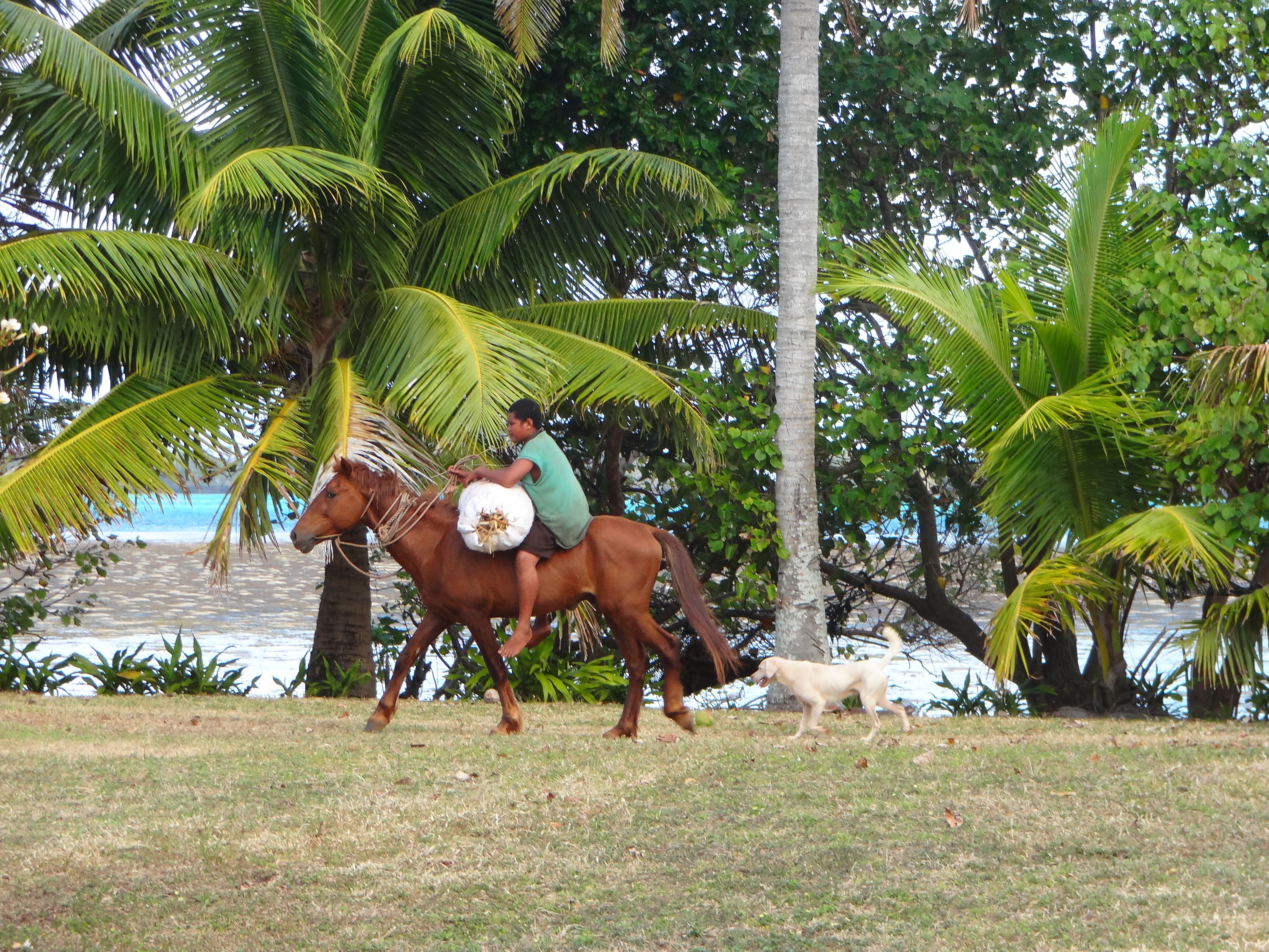 KidOnHorse